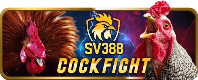 Hình ảnh bảo mật tài khoản người chơi tại z8bet nhà cái với các lớp bảo vệ thông tin cá nhân